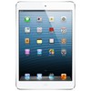 Apple iPad mini 16Gb Wi-Fi + Cellular черный - Александровск